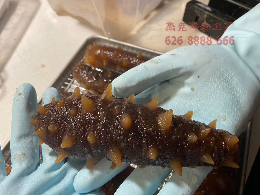 半干鲜阿拉斯加红海参